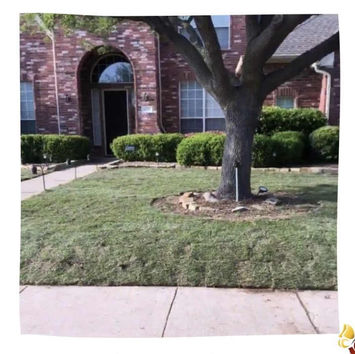 Before sod installation