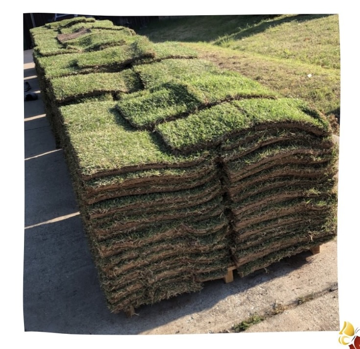 Fresh sod pallets